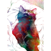 Schlafende Katze