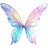 Feenflügel Design