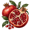 Granatapfel geöffnet zu Ruby Chambers