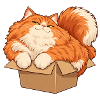 Katze im kleinen Karton