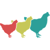 Hühner Trio Retro