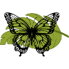 Schmetterling
