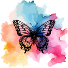 Bunter Schmetterling