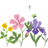 Blumen botanisch Blumenmotiv Illustration Garten