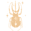 Herkuleskäfer Celestial Natur