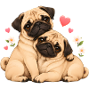 Mops Hund süßer Mops niedlicher Mops