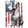 Bull Terrier US Bullterrier