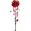 Blutrote Rose im Aquarellfall
