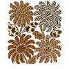 Safari Sunflowers