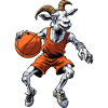 Ziegen Basketball / Bball Goat