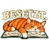 Besetzt – Katze auf Buch
