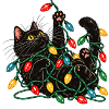 Katze mit Lichterketten