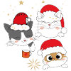 Katzen im Weihnachtsglanz