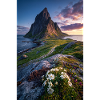 Coastal Peak mit Wildblumen