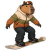 Capybara beim Snowboarding
