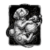 Hunde Kosmos