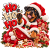 Weihnachtshund im Santa Outfit