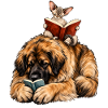 Leonberger & Devon Rex beim Lesen – Bücherfans