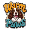 Englischer Springer-Spaniel