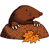 Maulwurf mit Herbstblatt