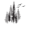 Flüsternde Kiefern-Silhouette