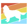Springer Spaniel
