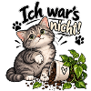 Ich war’s nicht – Lustige Katze