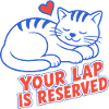 Schlafende Katze – Your Lap Is Reserved