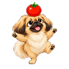 Süßer Pekingese Hund Cartoon Tomate
