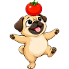 Süßer Mops Cartoon balanciert Tomate
