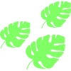 Tropisches Blatt 