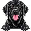 Schwarzer Labrador