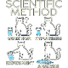 Katzenwissenschaft