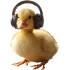 Küken mit Kopfhörern