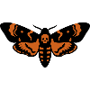 Totenkopfschwaermer Motte Logo