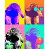 Ameisenbären Ameisenbär