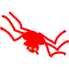 Spinne