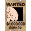 Hund gesucht