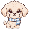 Labradoodle Hund 