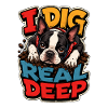 Boston Terrier