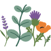 Mohn Blumen Lavendel Distel