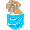Bullmastiff