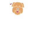 Wheaten Terrier