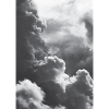 Odyssey in the Clouds