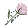 Rosen-Aquarell: zarte Blüte