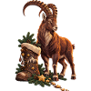Alpensteinbock mit festlichem Sternenstiefel