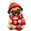 Mops Hund süßer Mops niedlicher Mops