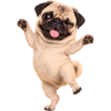 Mops Hund süßer Mops niedlicher Mops