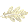 Eichenblatt / Blatt Eiche - Botanisch