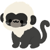 Douc Langur Affe